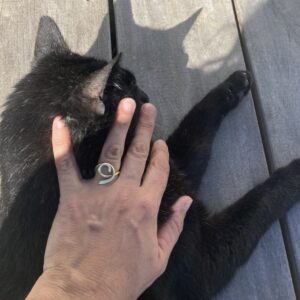 Bague Zurrunbilo Txikia