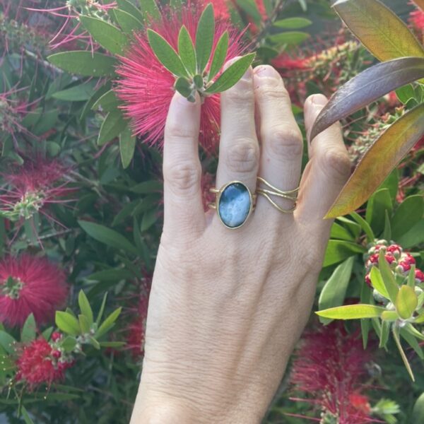 Bague baso elurtua