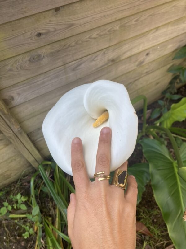 Bague bikotea – Image 6