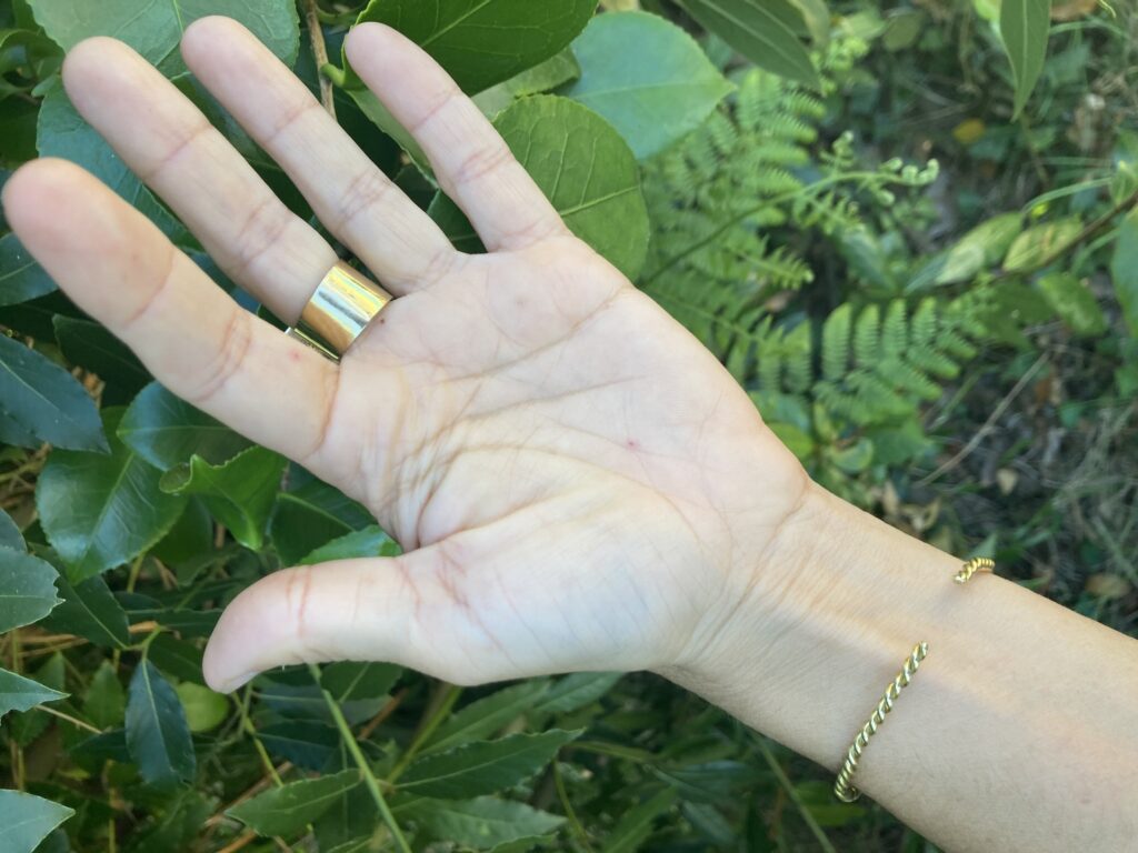 Bague bi tonuko — vue 3