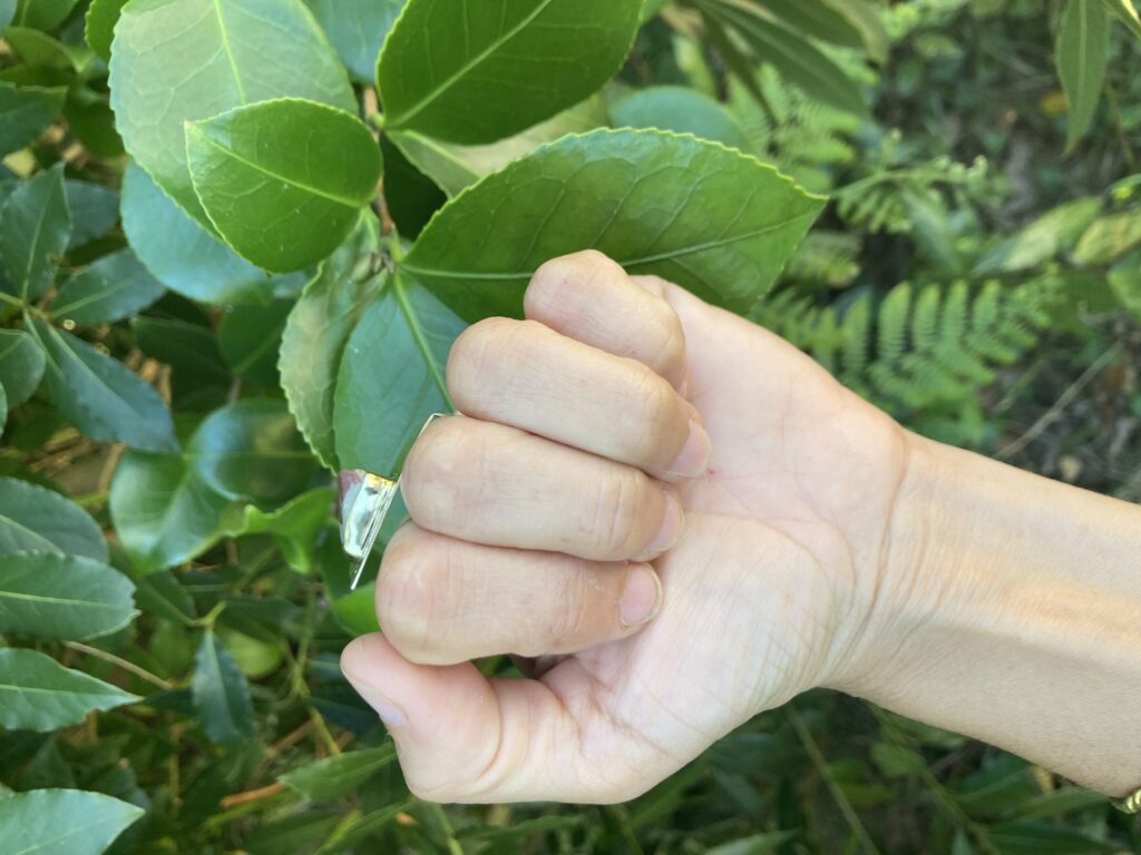 Bague bi tonuko — vue 4